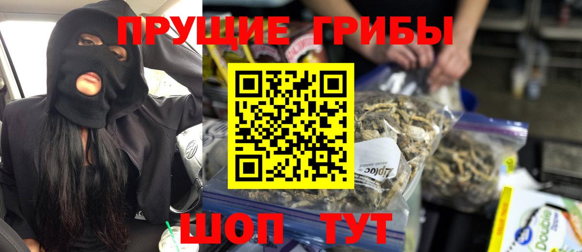 Галлюциногенные грибы MAGIC MUSHROOMS  Вход с VPN  Нижнекамск 